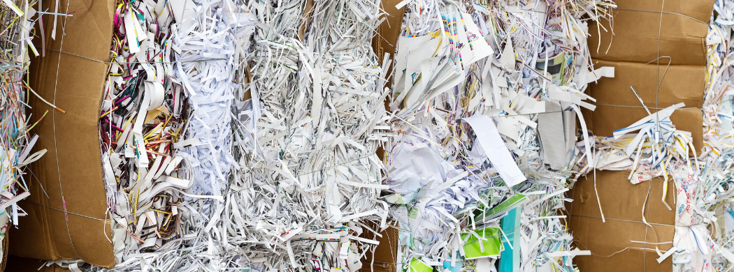 image of shredded paper awaiting recycling